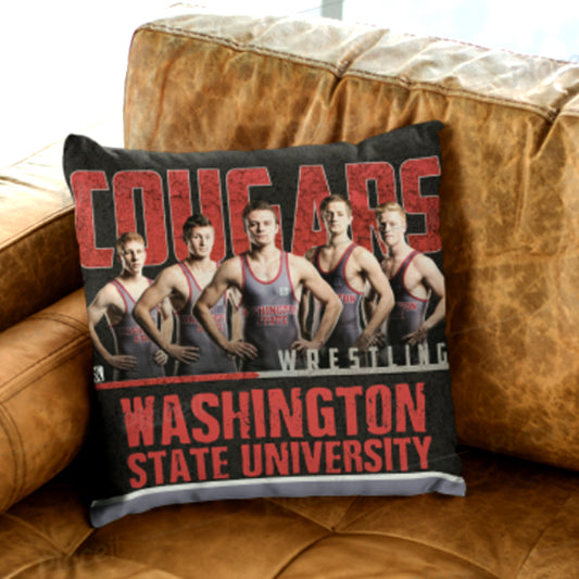 Indoor Decorative Pillows